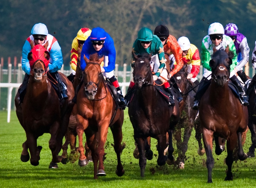 Sandown Tips Tom Collins believes The Queen will be celebrating on