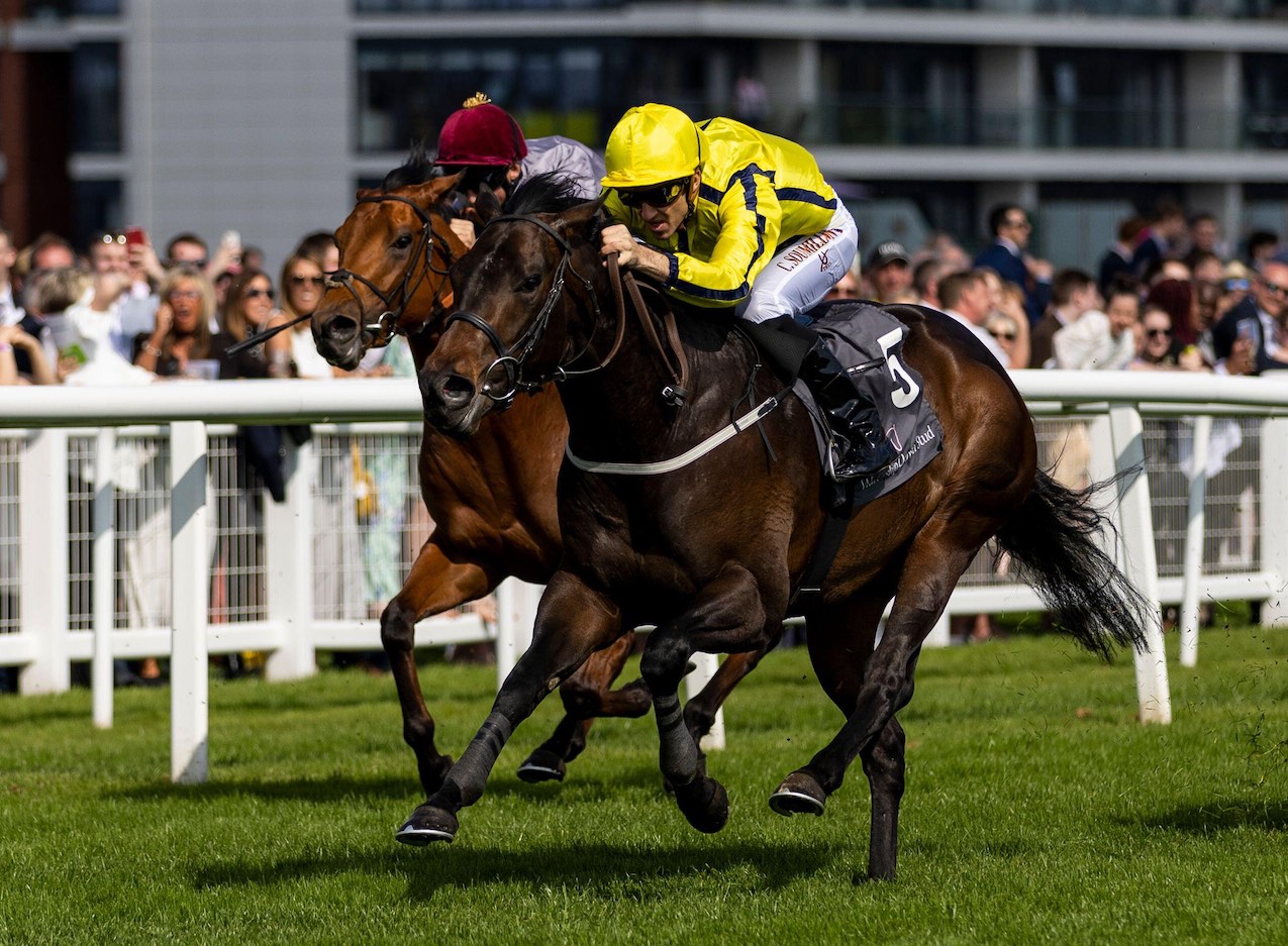 Darley July Cup Tom Collins previews Newmarket feature and provides